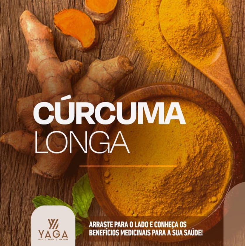 <p>Cúrcuma Longa</p>