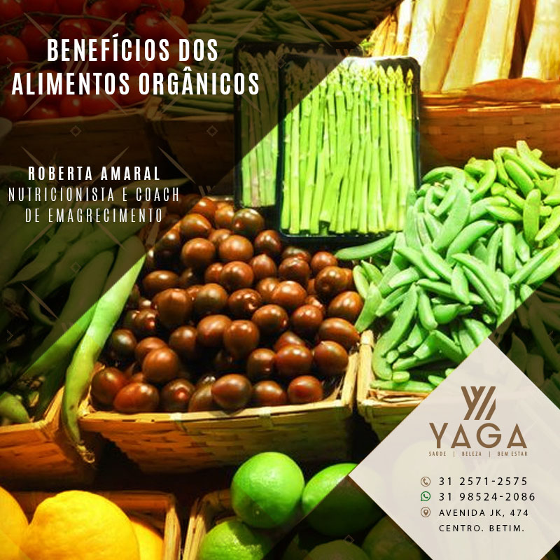 BenefÃ­cios dos alimentos orgÃ¢nicos