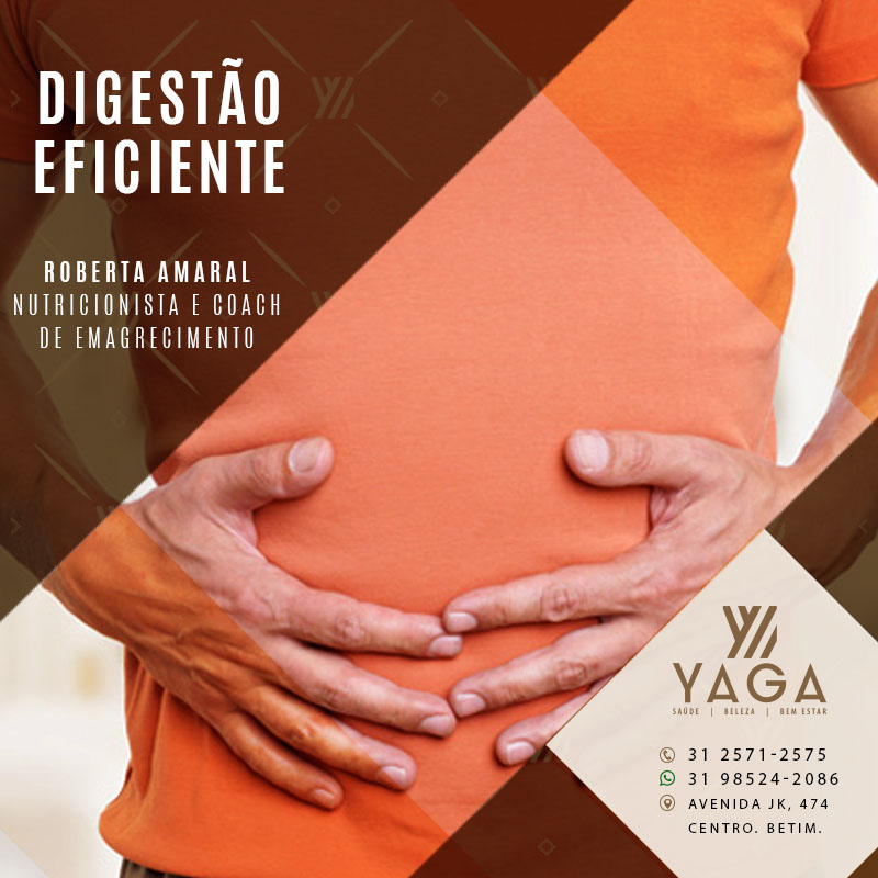 Digest&atilde;o Eficiente