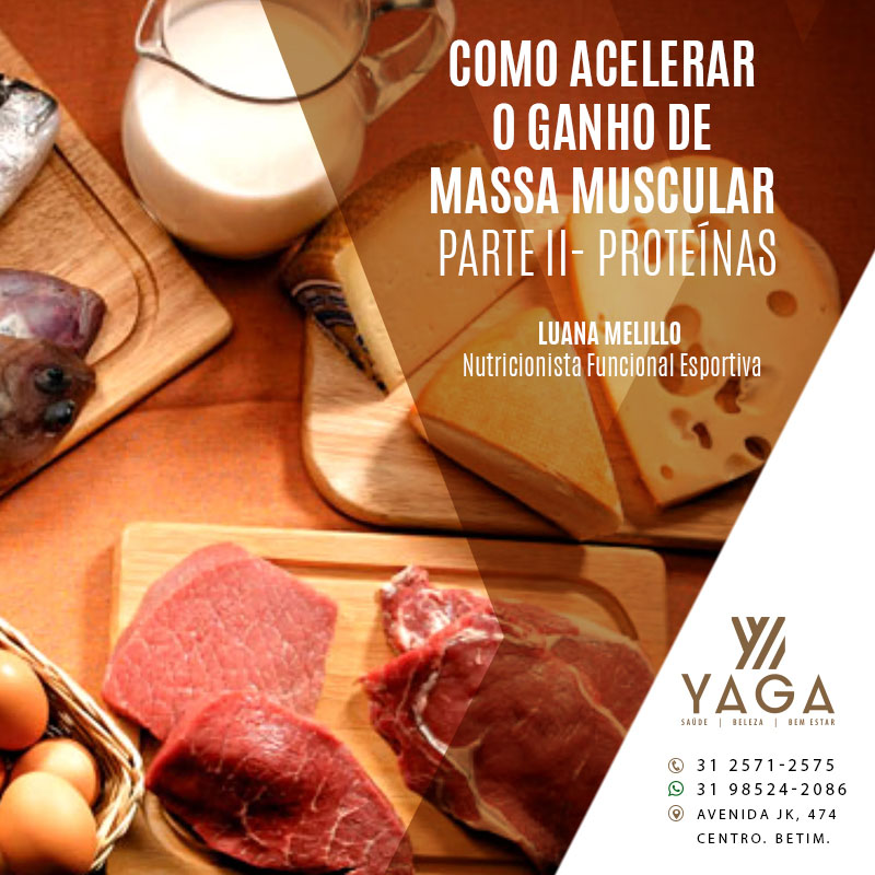 Como acelerar o ganho de Massa Muscular - Parte 2 - Prote&iacute;nas