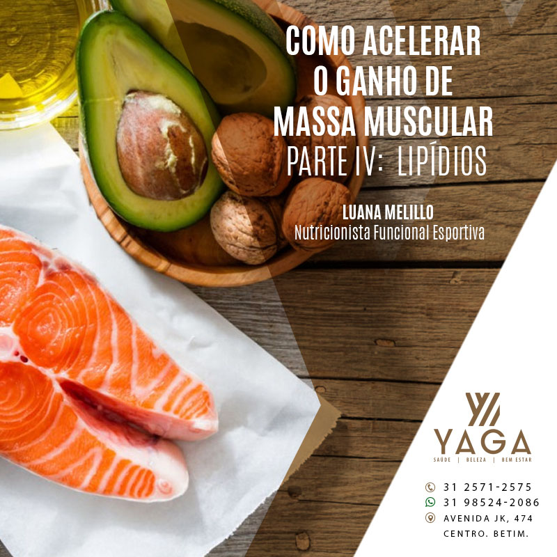 Como acelerar o ganho de Massa Muscular - Parte 4 - Lip&iacute;dios