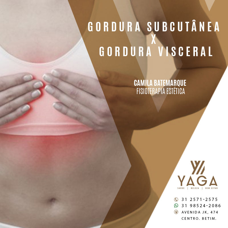 Gordura Subcut&acirc;nea x Gordura Visceral