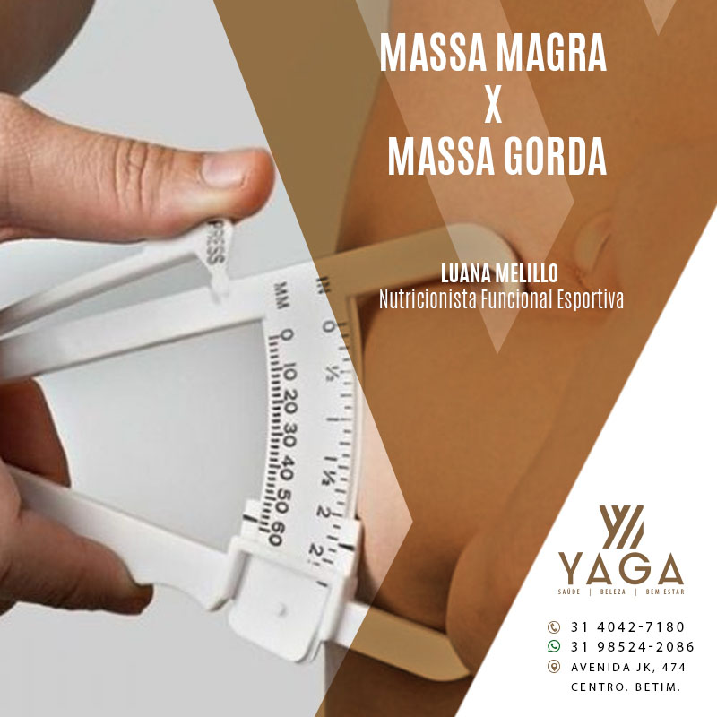 Massa magra X Massa gorda