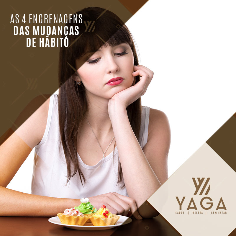 As 4 engrenagens das mudan&ccedil;as de h&aacute;bito