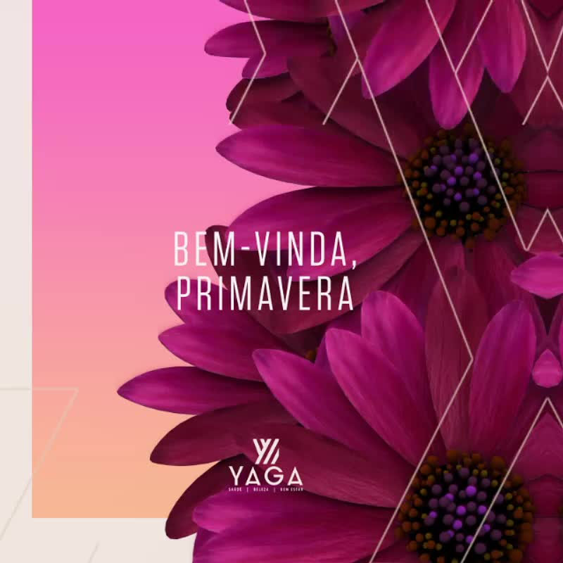 Bem-vinda, primavera!