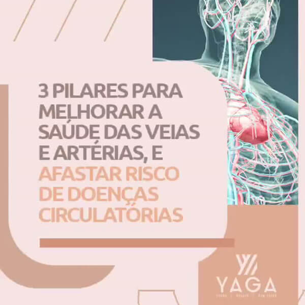 3 pilares para melhorar a saúde das veias e artérias, e afastar risco de doenças circulatórias